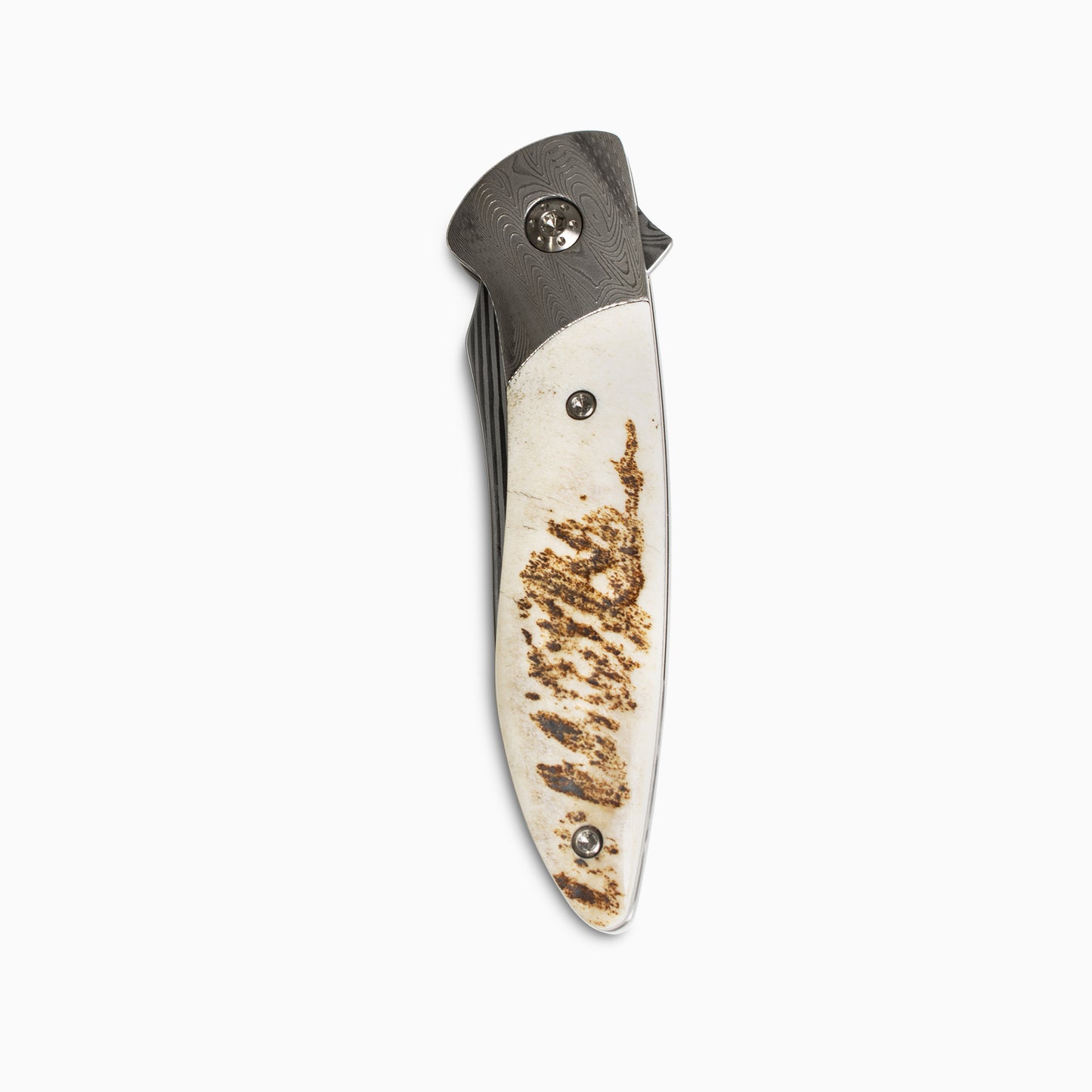 Glory Folder Semi-Custom #251 Elk Antler - Spirograph Damascus - Thor Damasteel