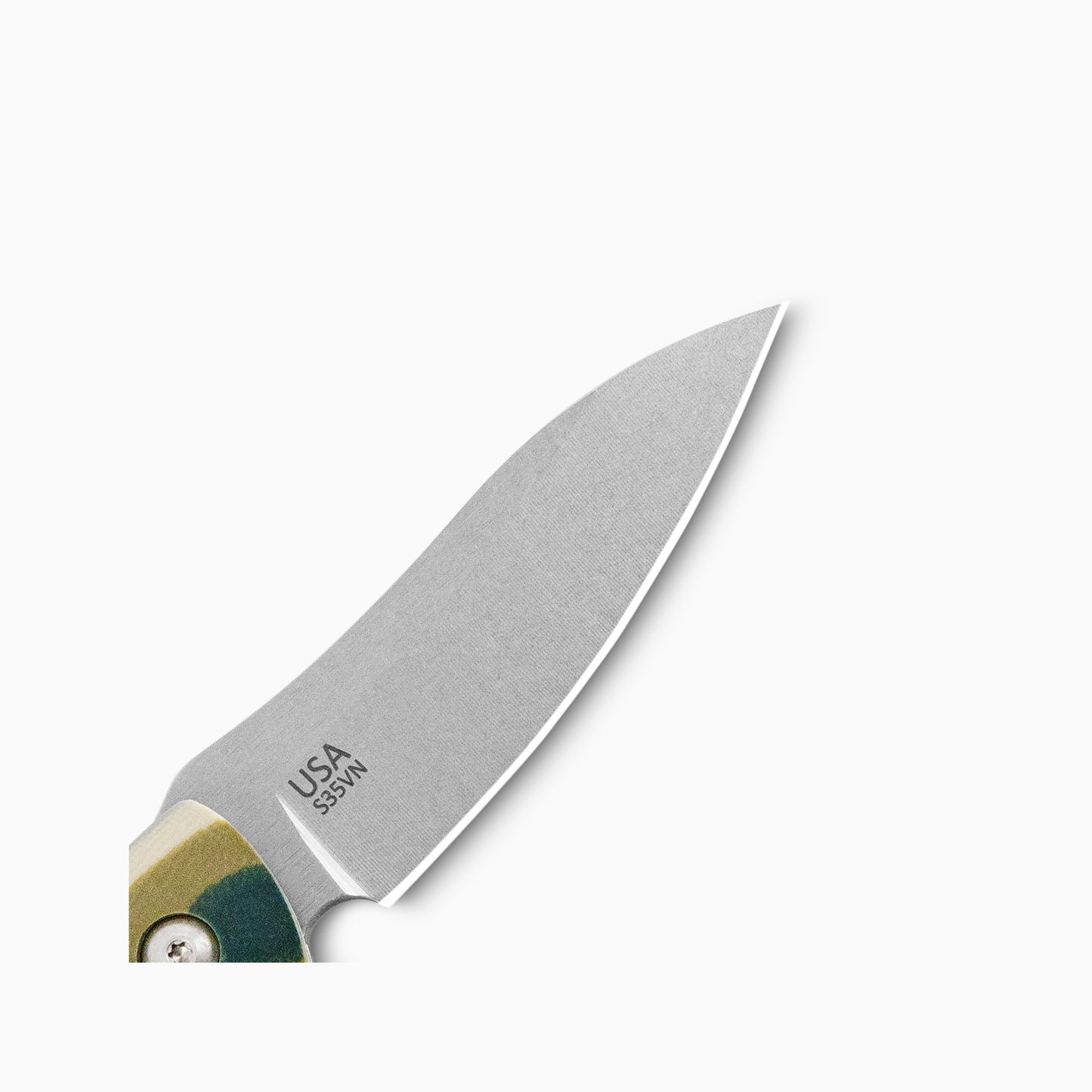 Saddleback Glory Folder - Lichen