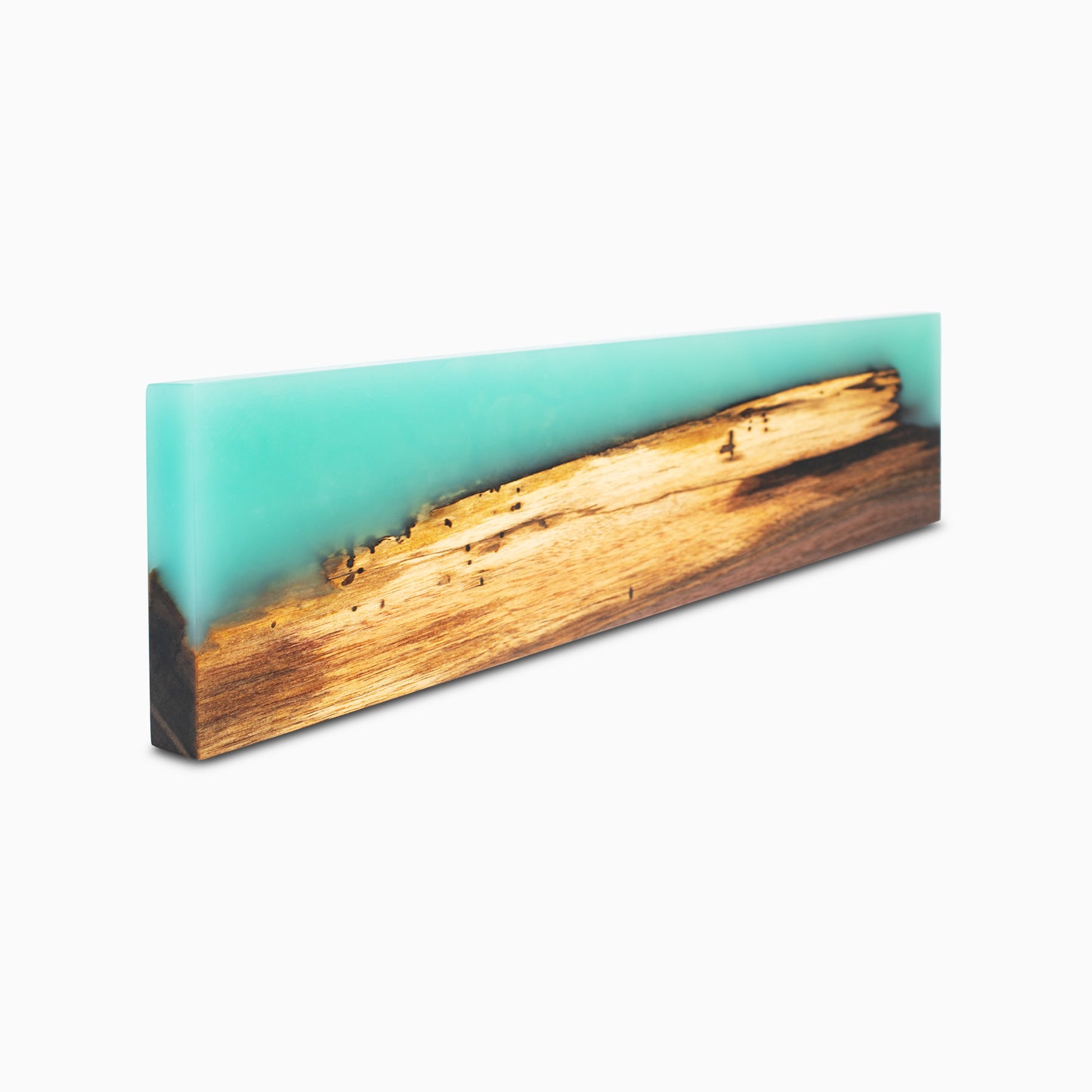 Lithophilia Selectiva 17"