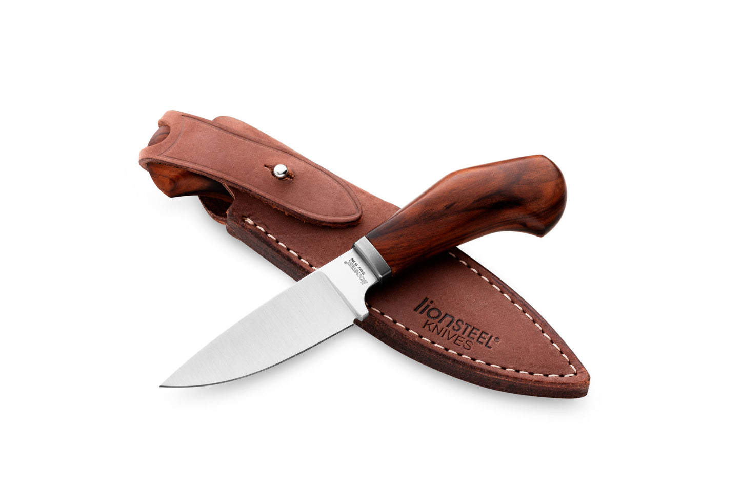 Lionsteel Willy