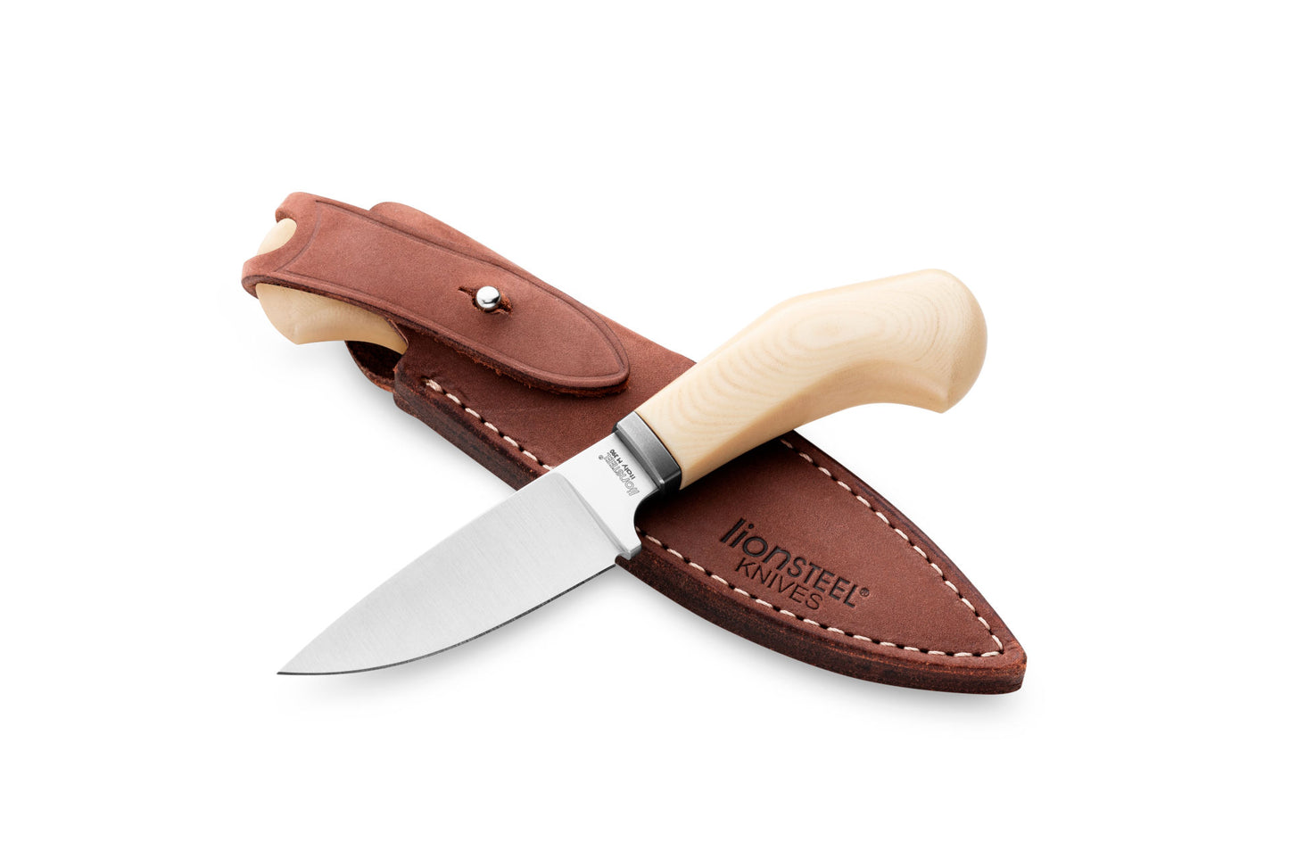 Lionsteel Willy