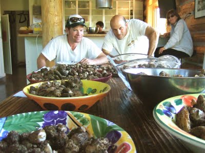 Morel Mushroom Hunting