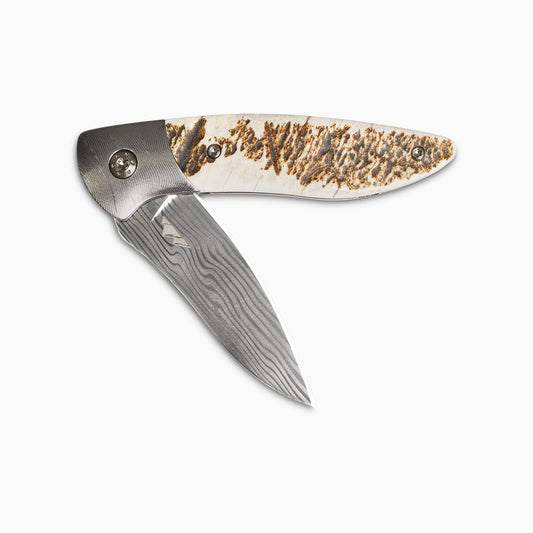 Glory Folder Semi-Custom #250 Elk Antler - Herringbone Damascus - Thor Damasteel