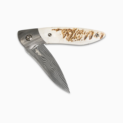 Glory Folder Semi-Custom #251 Elk Antler - Spirograph Damascus - Thor Damasteel
