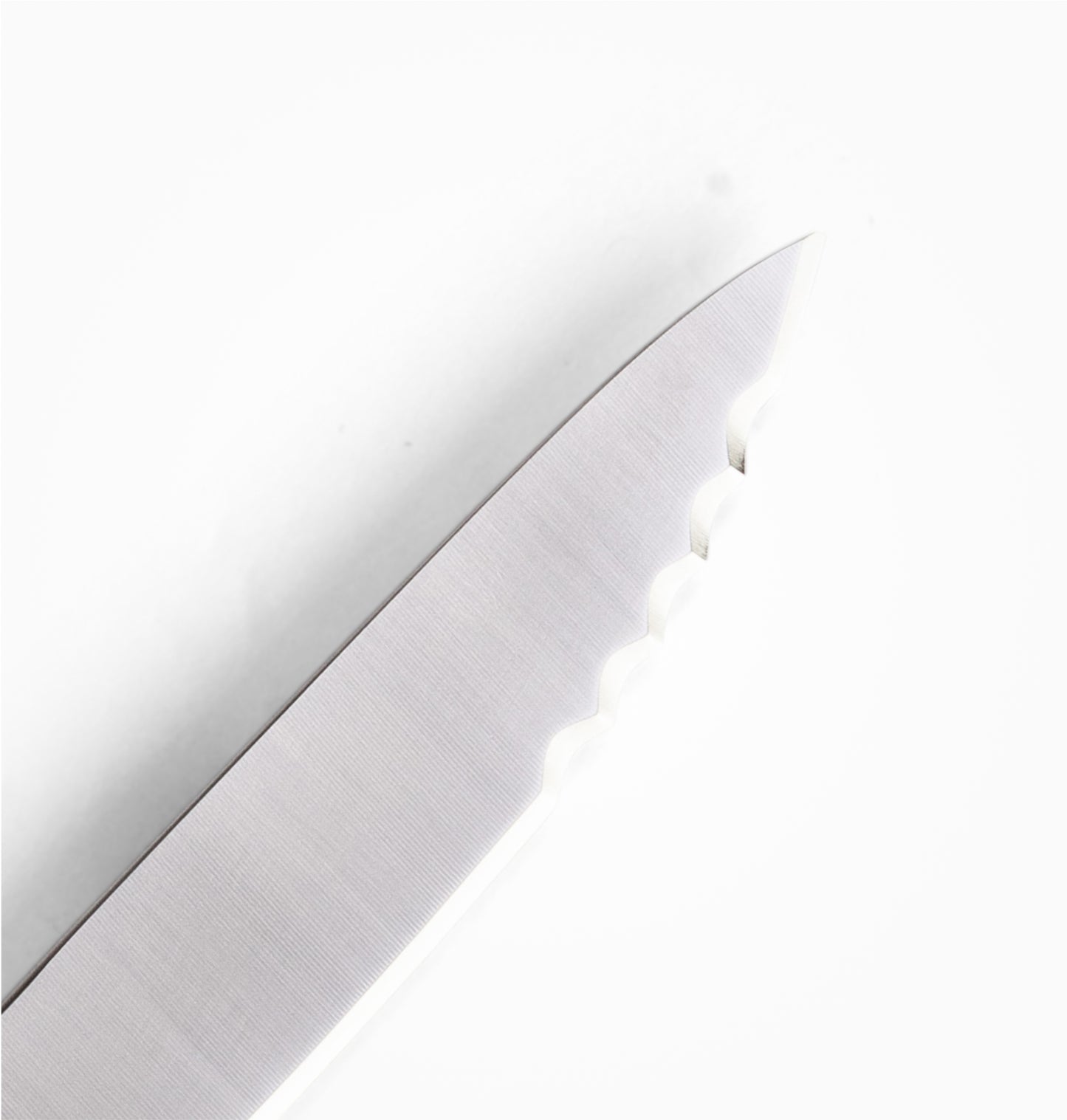 Steak Knife