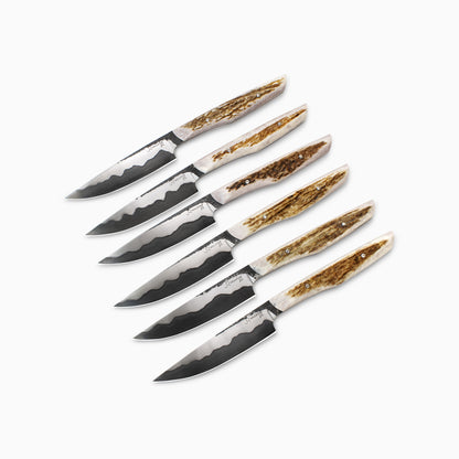 Jack Rellstab/NWKW | San Mai Elk Antler 6pc Steak Knife Set #03