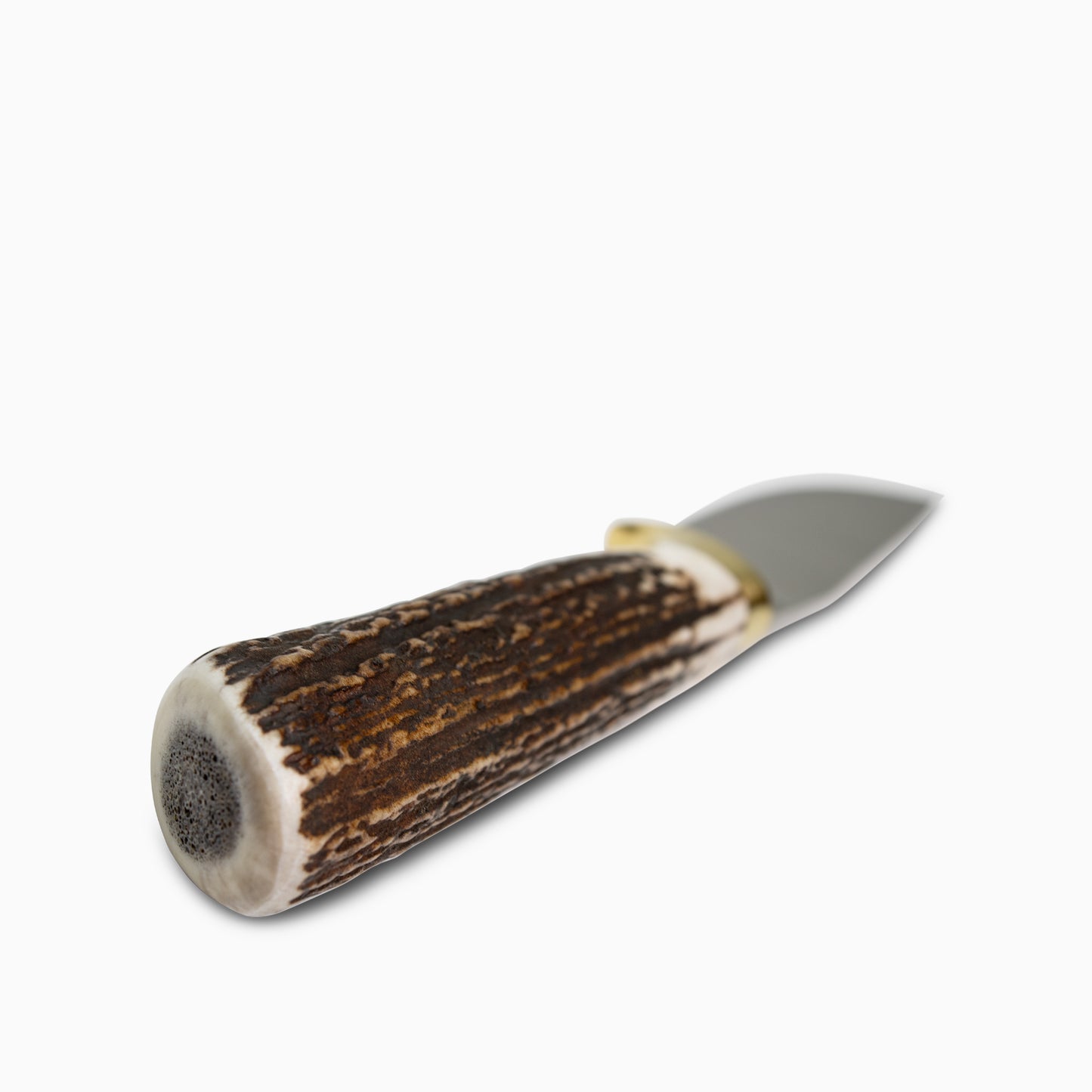 Elk Outfitter