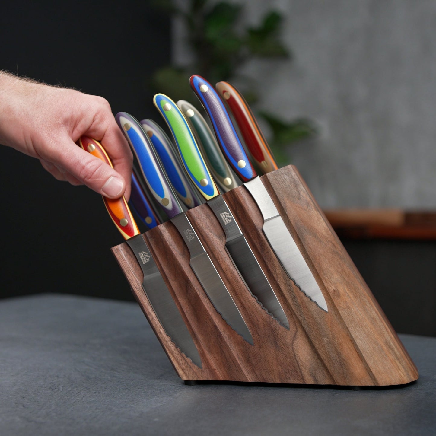 Arete 8pc Steak Knife Block