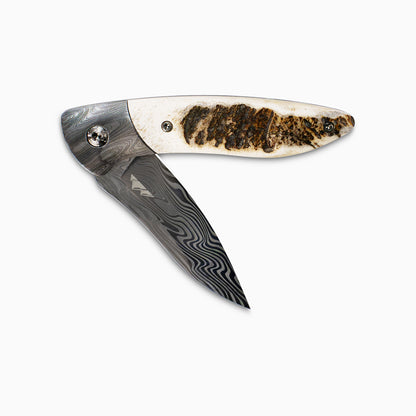 Glory Folder Semi-Custom #239 Elk Antler - Ladder Damascus - Thor Damasteel