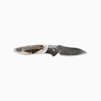 Glory Folder Semi-Custom #239 Elk Antler - Ladder Damascus - Thor Damasteel