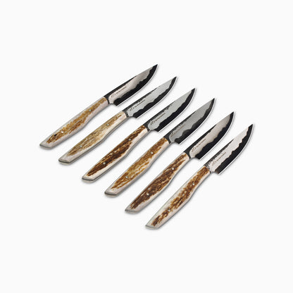 Jack Rellstab/NWKW | San Mai Elk Antler 6pc Steak Knife Set