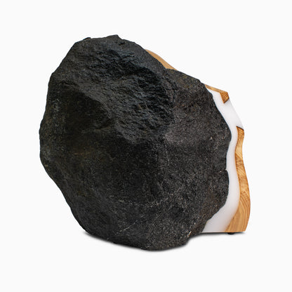 Winter Willows 5pc Chef