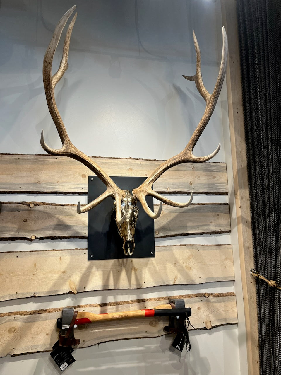 Small Elk Rack Elk Antlers Mounted
