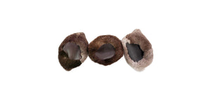 Beaver Fur Koozie