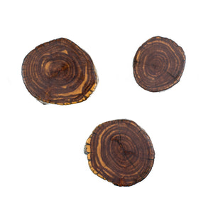 Juniper Magnet 3 Pack.