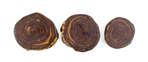 Juniper Magnet 3 Pack.